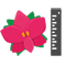 Flower size ca.